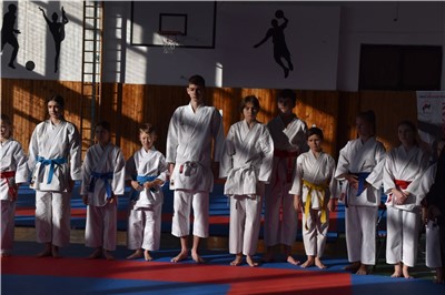 Krajský pohár karate mládeže - Sport union