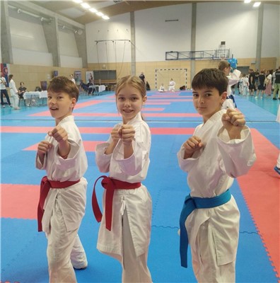 Sparing v Českých Budějovicích