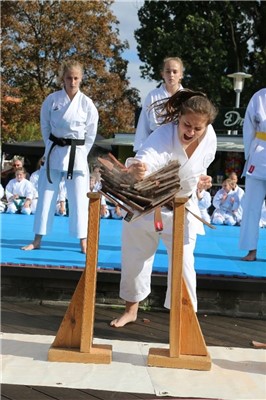 Ukázka karate Lovosice Václavská pouť
