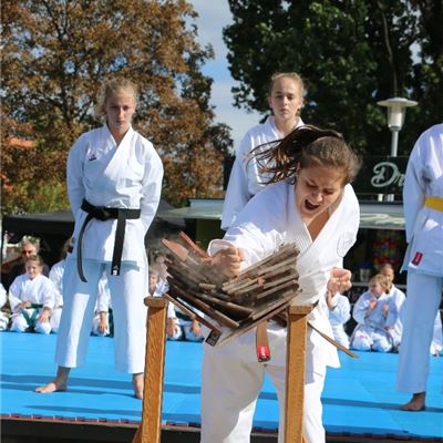 Ukázka karate Lovosice Václavská pouť