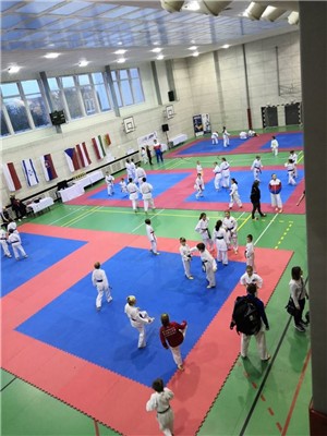 Sparing Karate České Budějovice