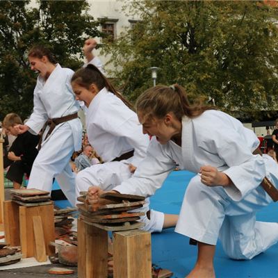 Ukázka karate pro veřejnost Lovosice