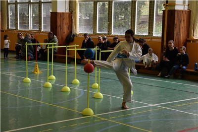 Krajský pohár kata II.+ agility beginner + kumite sparing