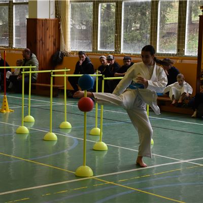 Krajský pohár kata II.+ agility beginner + kumite sparing