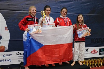 Mezinárodní závody Czech Open